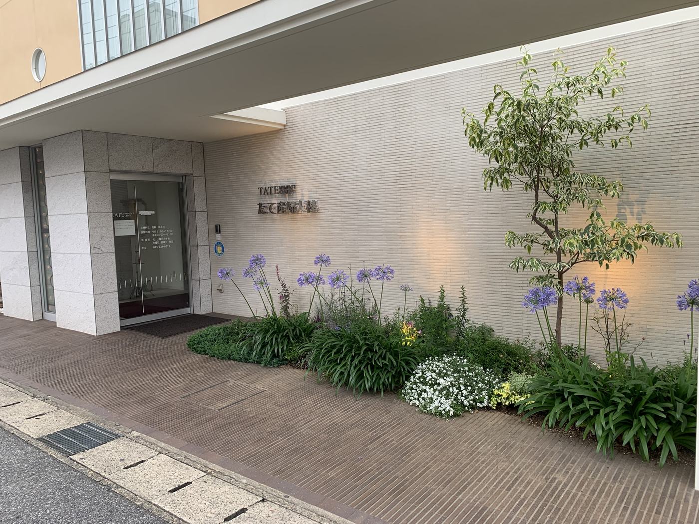たて産婦人科のエントランス。植栽と看板